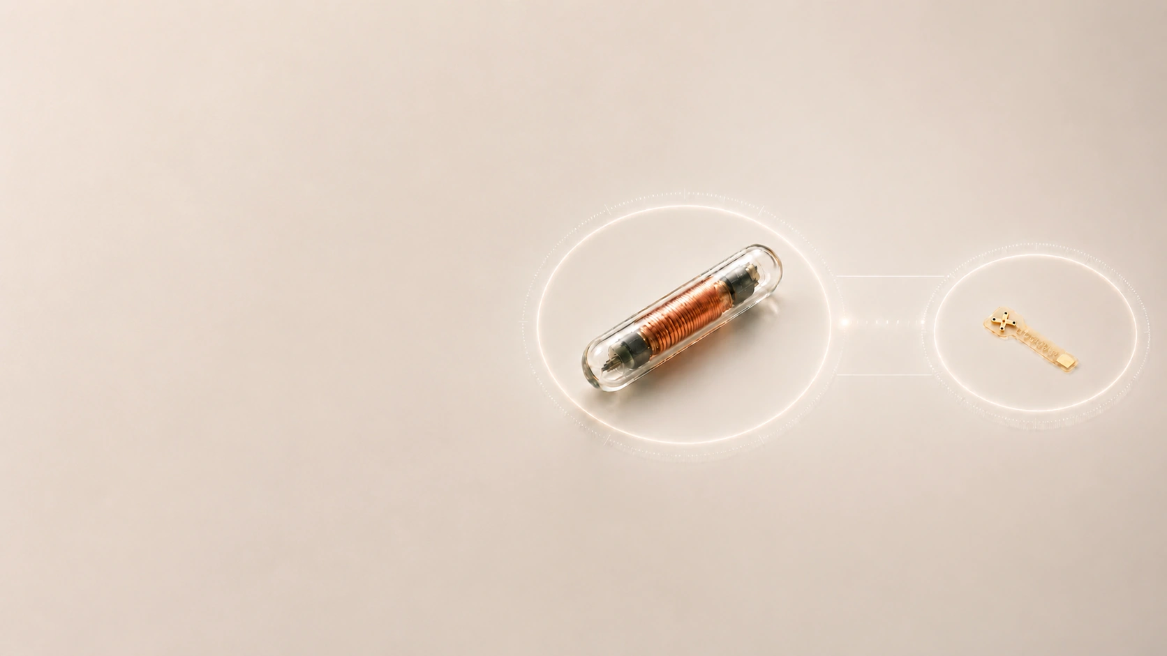 Two implants: a standard pet microchip &mdash; a glass capsule holding a copper coil &mdash; linked to Berolink&rsquo;s neural chip, a small flexible gold electrode array.